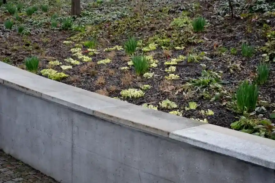 Experienced Retaining Wall Installation Charlotte, NC Experienced Retaining Wall Installation Charlotte, NC